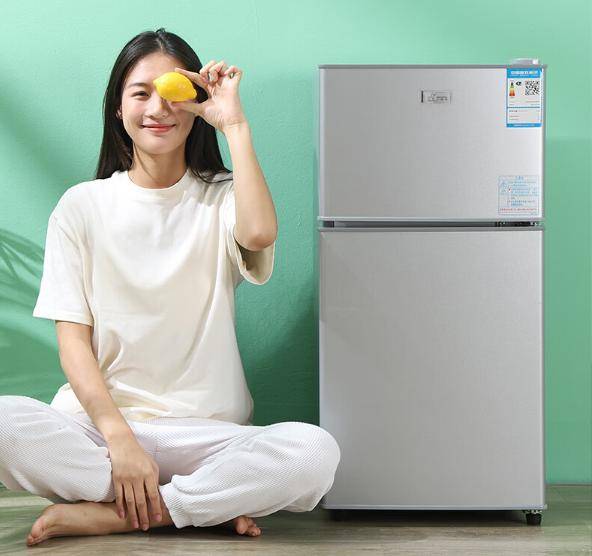 又省电？租房族必备实用省电小冰箱推荐尊龙凯时app小冰箱哪个牌子好又实惠(图5)