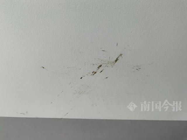 ！业主崩溃：全屋都是无法接受尊龙凯时AP