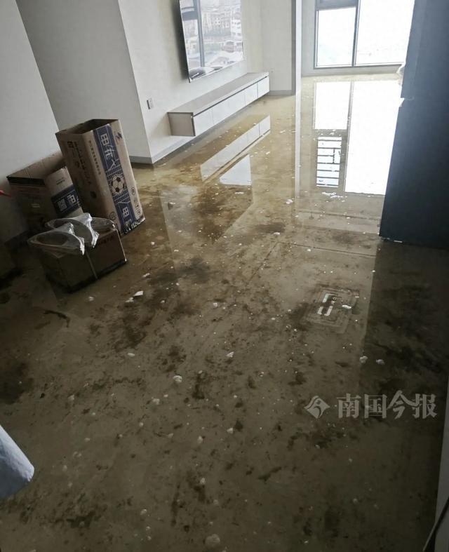 ！业主崩溃：全屋都是无法接受尊龙凯时APP婚房被粪水浸泡(图5)