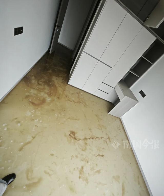！业主崩溃：全屋都是无法接受尊龙凯时APP婚房被粪水浸泡(图3)