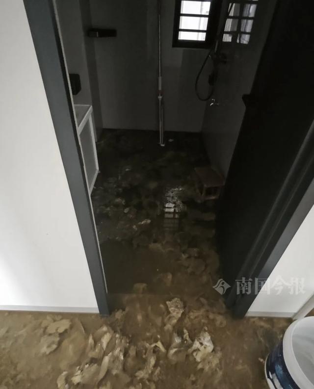 ！业主崩溃：全屋都是无法接受尊龙凯时APP婚房被粪水浸泡(图7)