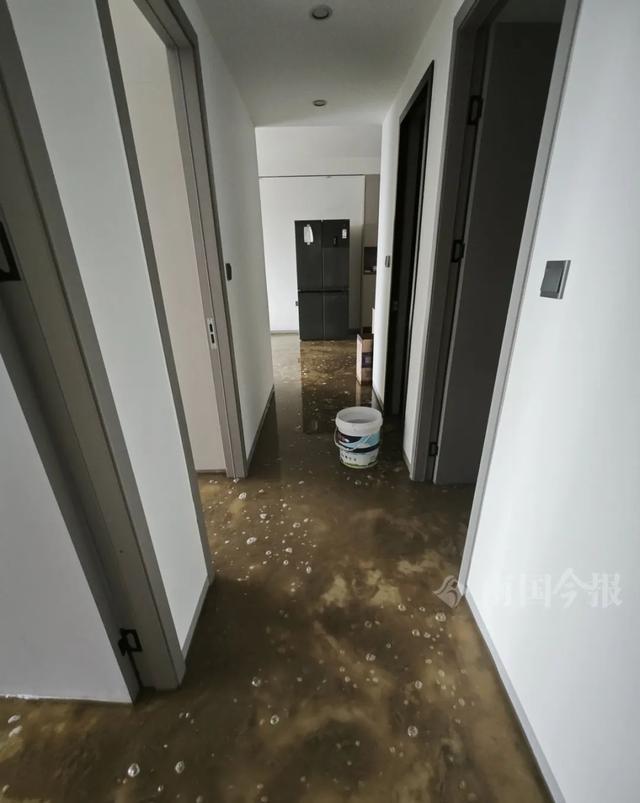 ！业主崩溃：全屋都是无法接受尊龙凯时APP婚房被粪水浸泡(图2)