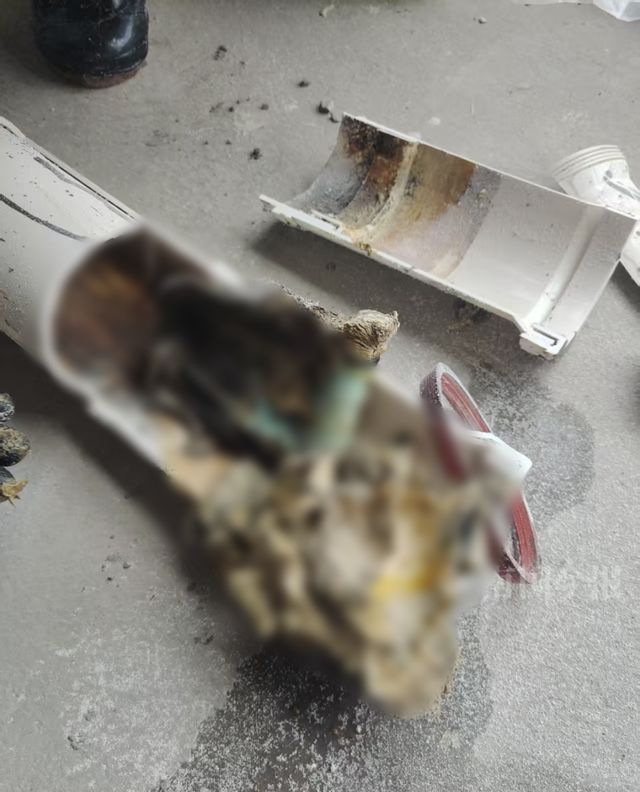 ！业主崩溃：全屋都是无法接受尊龙凯时APP婚房被粪水浸泡(图10)